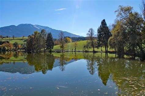 Ritzensee Saalfelden Am Steinernen Meer Alles Wat U Moet Weten