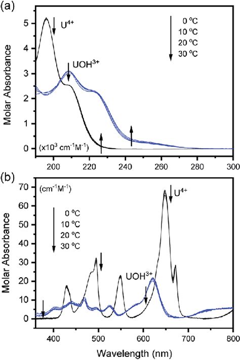 Deconvoluted Molar Absorption Spectra Of U And U Oh In The A