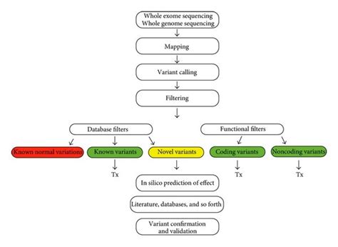 Workflow For Pharmacogenomics Using Wes Or Wgs After Mapping To The Download Scientific