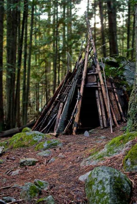 Six Basic Wilderness Survival Skills | Family Survival Headlines