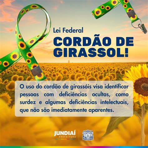 Quais Doenças Podem Usar O Cordão De Girassol - Cordão de Girassol identifica pessoas com deficiência oculta | Notícias