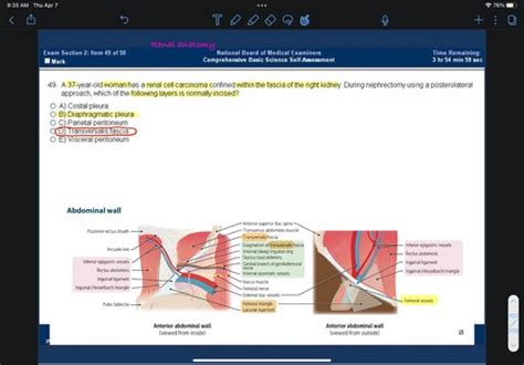 Comp Anatomy Flashcards Quizlet