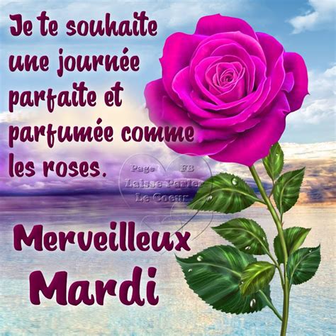 58 Bonjour Mardi Citation Photo