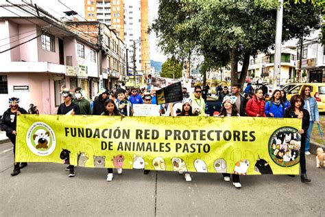 Alcaldía de Pasto on Twitter Iniciamos la SemanaDeBienestarAnimal