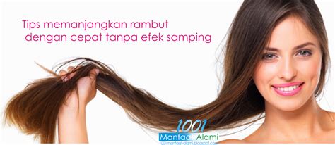 Pengen Tau Gimana Cara Memanjangkan Rambut Dengan Cepat Ikuti Cara