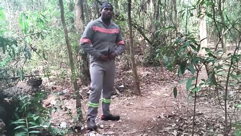 Free Gay Park Porn Videos XHamster