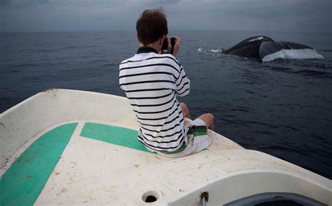The day I saw my first blue whale