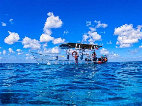 10 Best Cozumel Snorkeling Tours in 2024