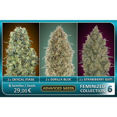 Feminized Collection Grow Cartago