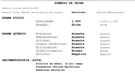 O Que Significa Ausentes No Exame De Urina - Sumário de urina: saiba tudo sobre esse exame de urina - Sanarmed