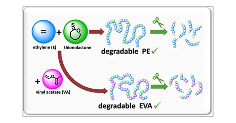 Synthesis Of Degradable Polyethylene And Poly Ethylene Co Vinyl Acetate