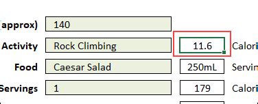 Excel Calorie Burn Calculator Food Activity Free Workbook