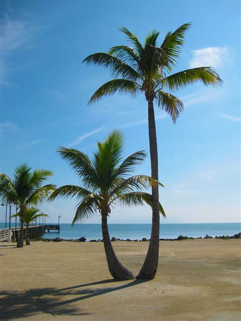 Gambar Pantai Pemandangan Laut Alam Outdoor Pasir Lautan