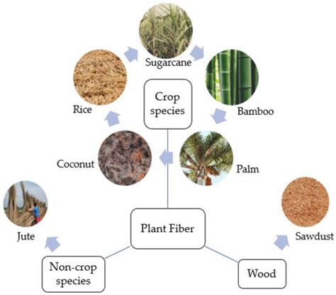 Sustainability Free Full Text Natural Fibers An Alternative For The Reinforcement Of