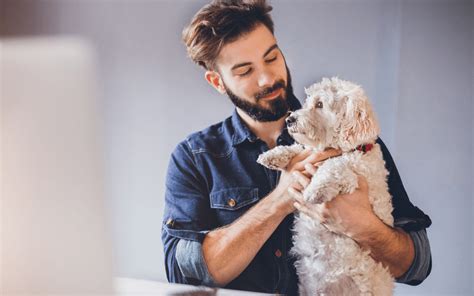 Der Bürohund als Mitarbeiter Eberhard Wagemann