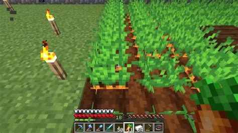 How To Make Golden Carrot In Minecraft