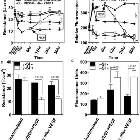 Representative pictures of confluent cultures of microvascular ... 