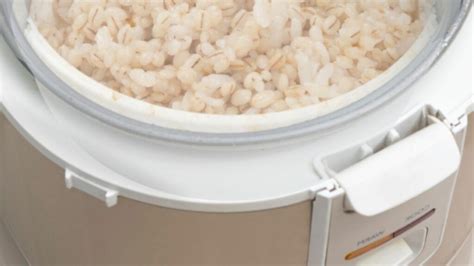 How To Cook Barley In A Rice Cooker Prep And Cooking Guide