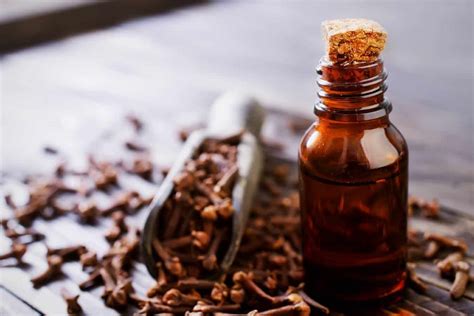 How To Use Clove Oil For Hair - 3 Easy Ways