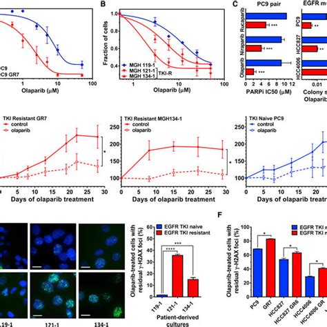 Parp Inhibition Increases Ros And Oxidative Damage In Tki R Cells A