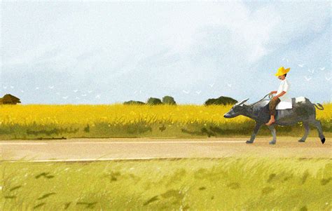 Carabao Riding By Mattersmost On Deviantart