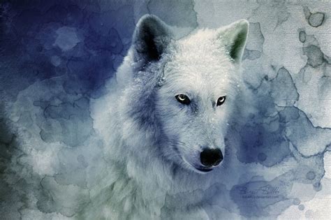 Snow Wolf Mythical Creatures Mythological Creatures Wolf Pictures