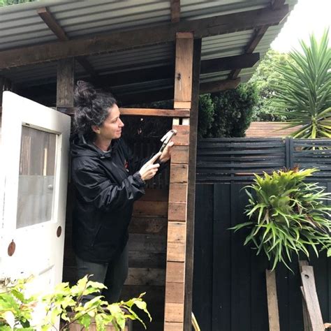 The Owl And The Pussy Cat A Christmas Fable Bowerbird Gardens