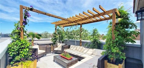 Rooftop Garden Requirements The Ultimate Guide To Creating A Green