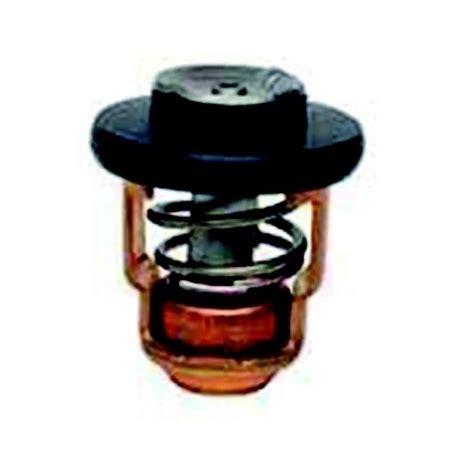 Thermostat De G Hors Bord Yamaha Acheter