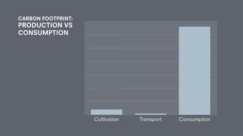 The Carbon Footprint of A Café & How to Reduce It - KrakenCoffeeCo.com