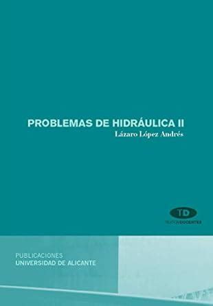 Problemas De Hidr Ulica Ii Textos Docentes L Pez Andr S L Zaro