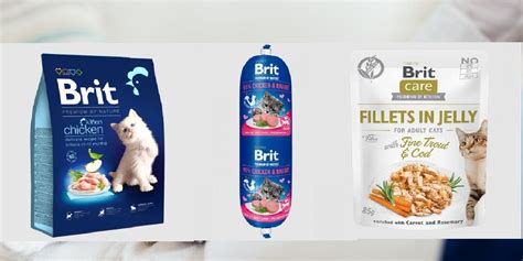 Unbiased Brit Cat Food Review In Cats