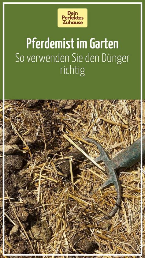 Pferdemist im Garten So verwenden Sie den Dünger richtig How to dry