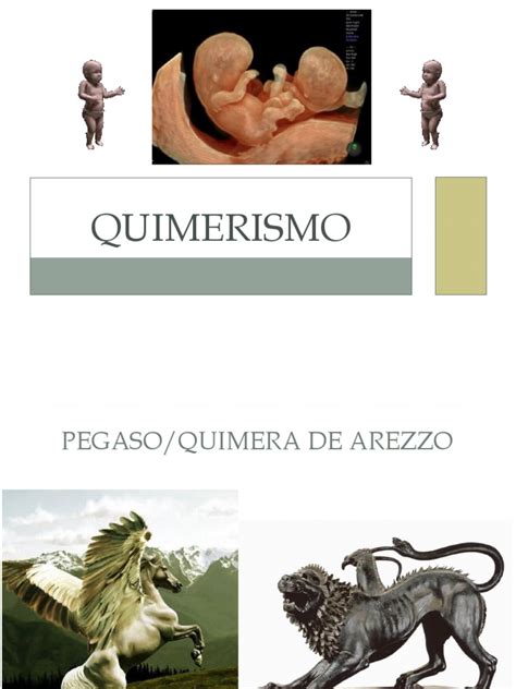 Quimerismo Pdf