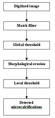 Method for microcalcifications detection proposed by Nishikawa et al. [39]. | Download ...