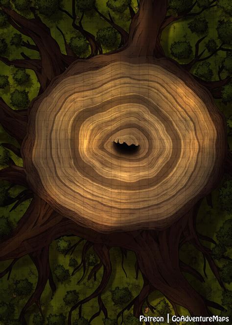 X The Big Tree Forest Battlemap Tree R Fantasymaps