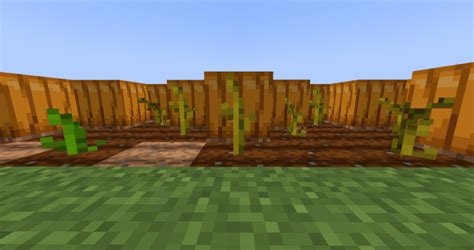 【マイクラ】畑の作り方・全15種類の作物の育て方【農業の基本】 Mineblog