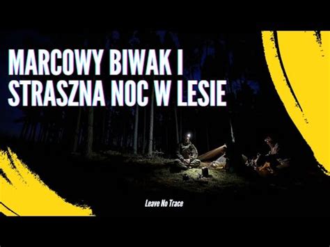 Spędziłem solo noc w lesie Bushcraft Polska YouTube