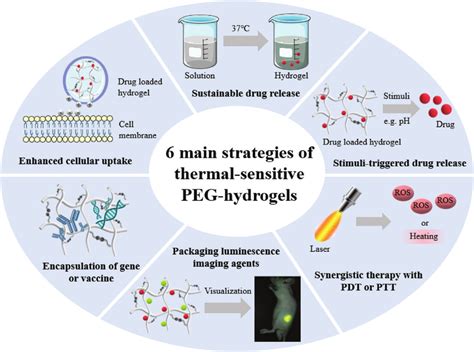 Six Main Strategies Utilized For The Application Of Thermal Responsive