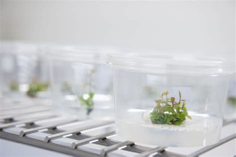 New biosecurity research protects border and empowers industry and