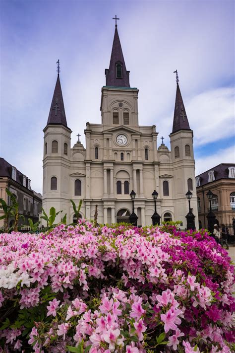 Fun Things To Do In New Orleans New Orleans Bucket List