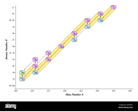 Nuclear decay chain, actinium series. Diagram of the nuclear decay ...