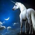 Beautiful Unicorn Unicorns Icon Fanpop