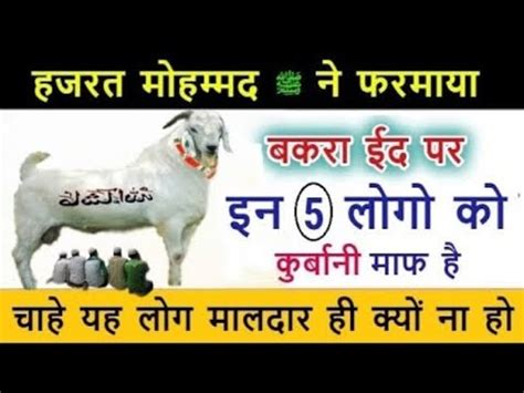 Bakra Eid 2023 Bakra Eid Pr 5 Logo Ko Qurbani Maaf Hain Chahe Yeh