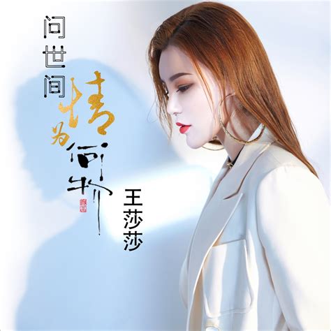 ‎《问世间情为何物 Dj何鹏版 Single》 王莎莎的专辑 Apple Music