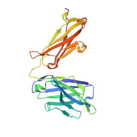 Rcsb Pdb Jx Mapping Neutralizing And Immunodominant Sites On The