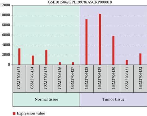 Circ Is Relatively Highly Expressed In Nsclc Tissues And Cell