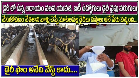 How To Start Dairy Farming Dairy Farming Tips Guntur Farmers