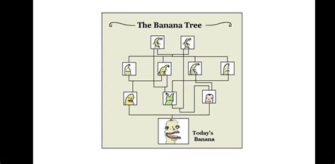 The family tree of Charles II of Spain, cca 1670, colorized : r ...