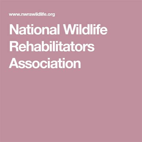 National Wildlife Rehabilitators Association Wildlife Rehabilitation Wildlife Natural Ecosystem